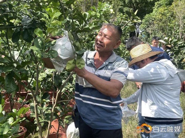 线上配资门户网站 被惊艳到了！超多品种，假期开放采摘→